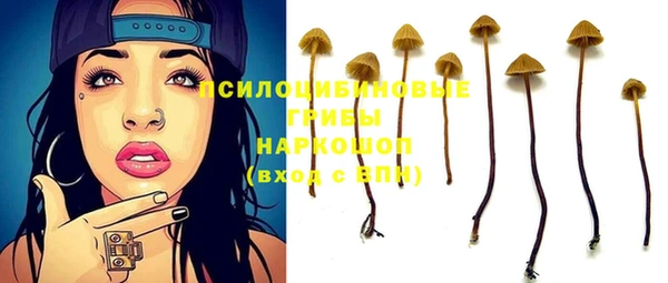 круглые Алзамай