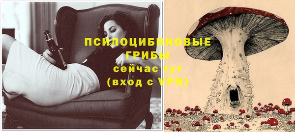 соль ск Алексеевка