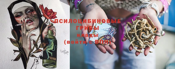 круглые Алзамай