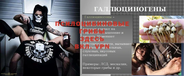 PSILOCYBIN Алексин