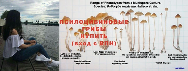 твердый Абинск