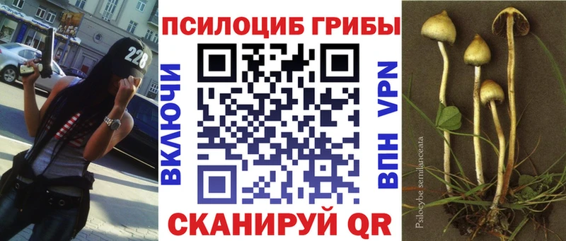 Галлюциногенные грибы GOLDEN TEACHER Красноуфимск